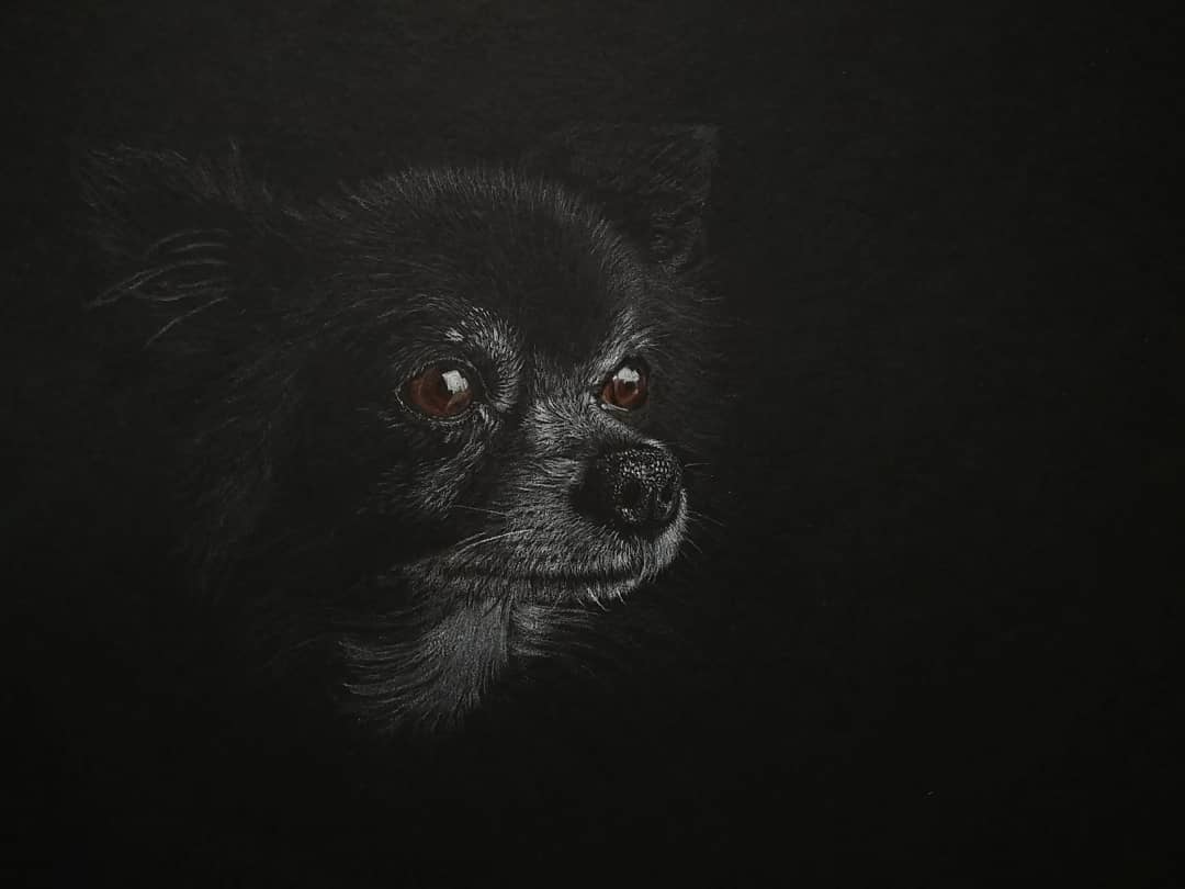 Hund Hundezeichnung Schwarz Hundeportrait